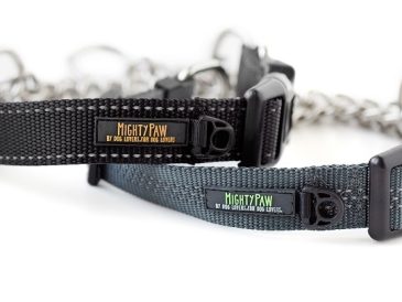 Mighty Paw Martingale Dog Collar Review - img