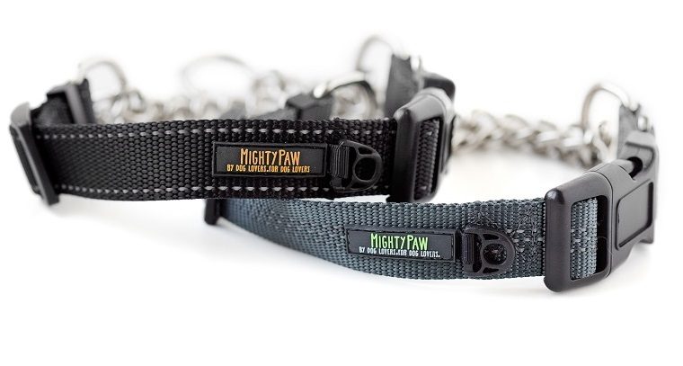 Mighty Paw Martingale Dog Collar Review - img