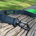 Collier pour chien Kooloop : avis et cadeau