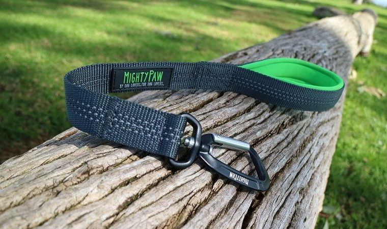 Mighty Paw Traffic Leash : avis et code de réduction - img