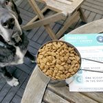 Shed Defender : avis et code promo, Onesie pour chiens !