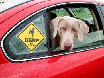 Obtenez votre autocollant de fenêtre "Derp On Board" gratuit - img