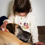 Gagnez une clôture électronique sans fil gratuite pour chiens de Motorola