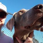 La nourriture pour chiens « I and Love and You » : test et cadeau