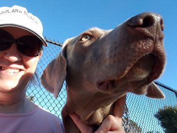 Une journée typique de garde d'animaux (racontée par notre Pet Sitter !) - img