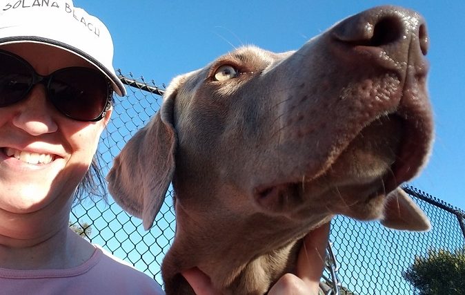 Une journée typique de garde d'animaux (racontée par notre Pet Sitter !) - img